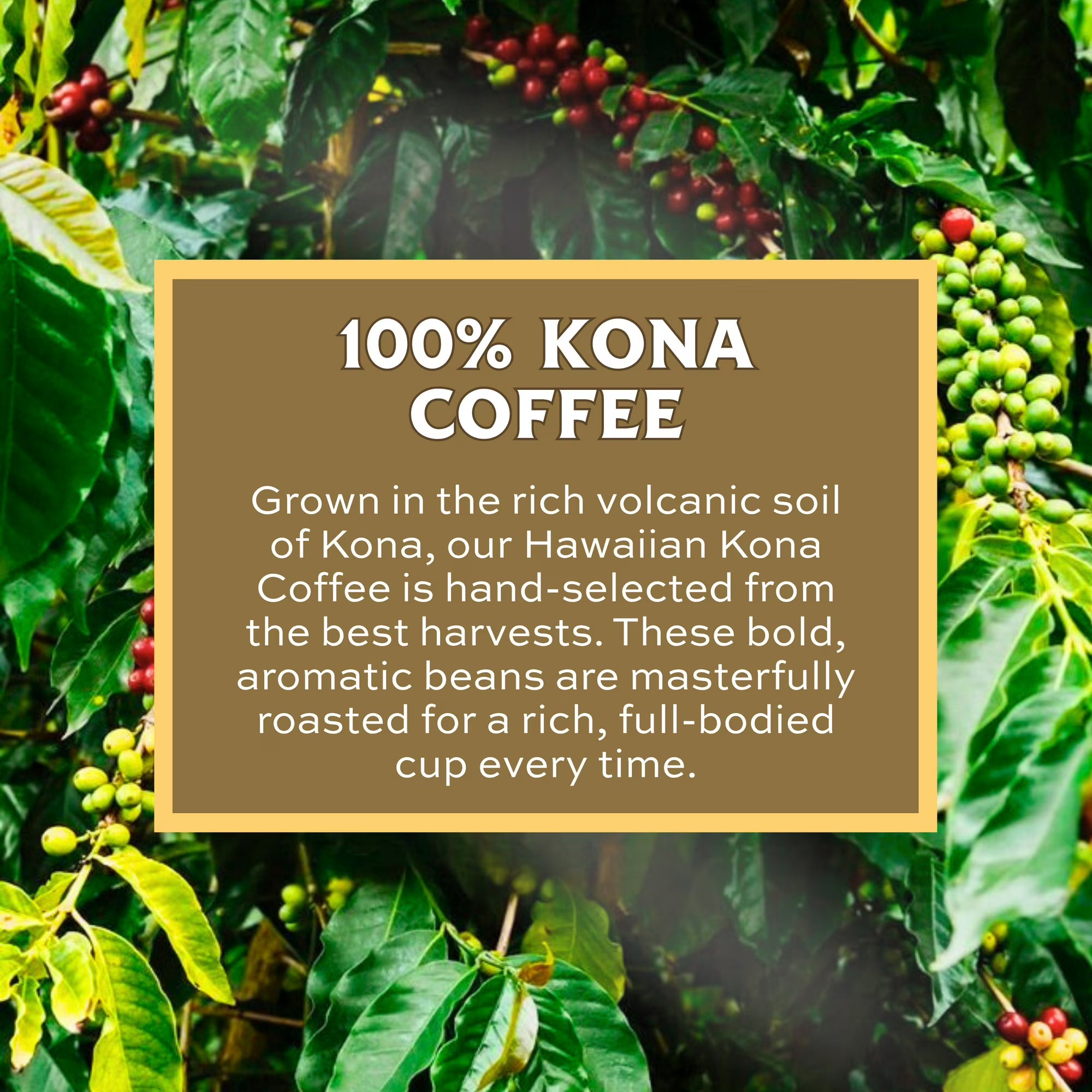Lion Coffee 24K Gold Roast 100% Kona Coffee - 7 oz
